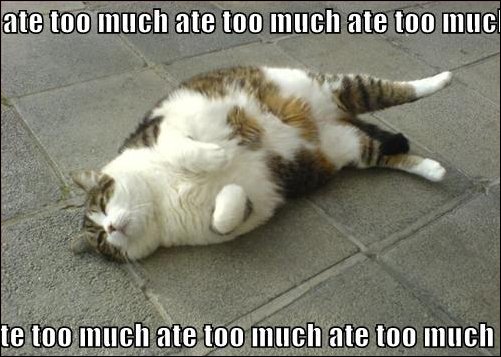 ate-too-much.jpg
